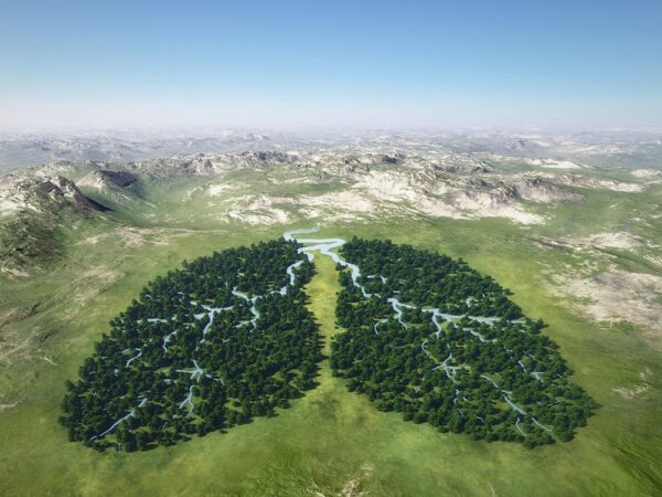 Picture of a forest in the shape of a set of lungs.